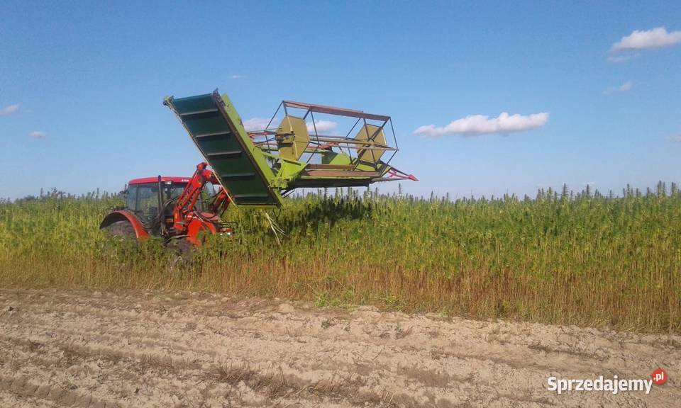 Przystawka heder kombajn do konopii 28 m Potok Górny