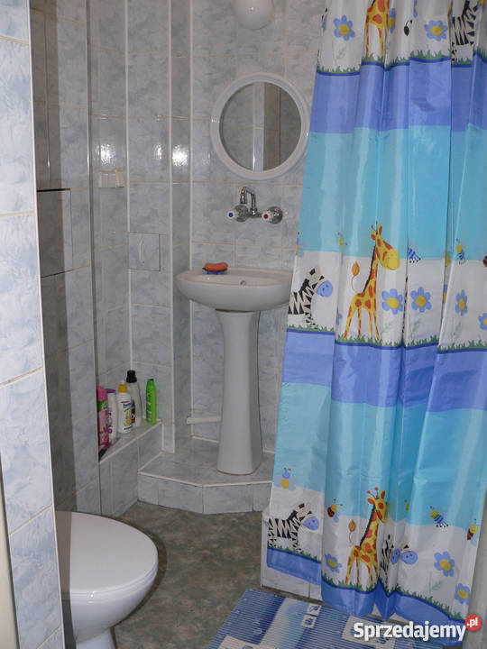 Kawalerka z balkonem na 11 Listopada czynsz 100 sprzedam