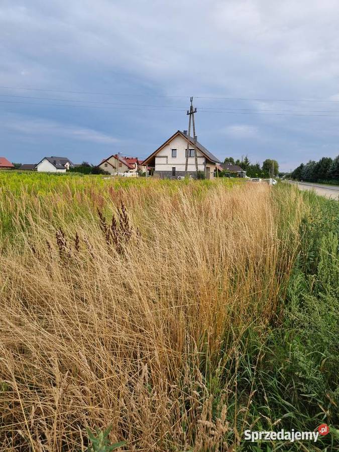 Sprzedam działkę budowlaną BYSTRZYCA OŁAWA budowlana Janików