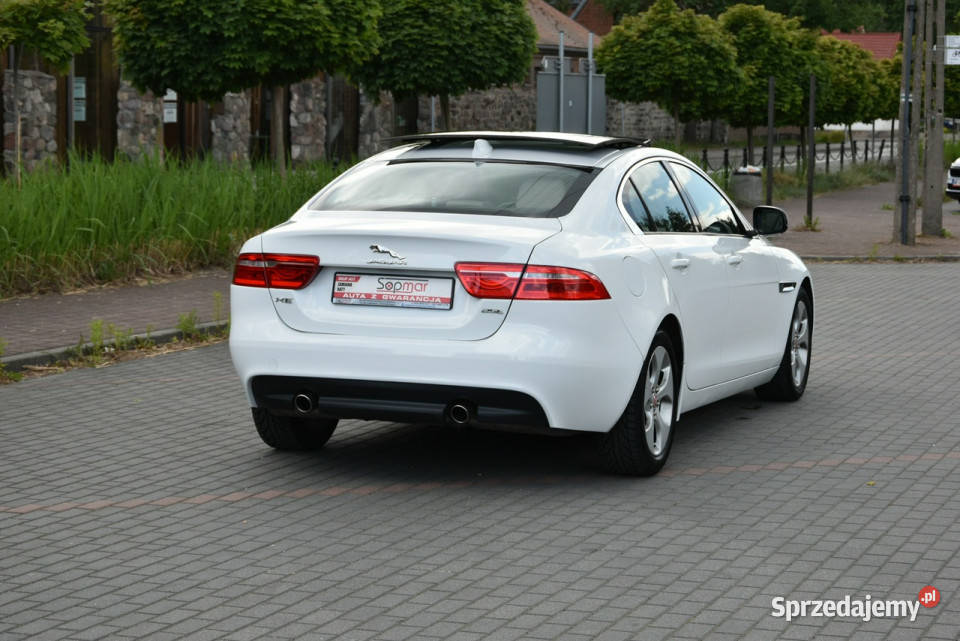Jaguar XE 25T 20T 250 2018r Skóra Panorama I