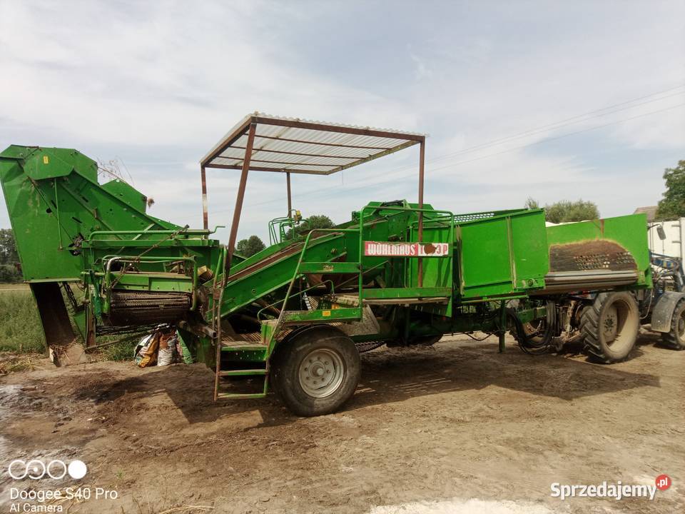 Wuhlmaus 1633 P grimme kombajn ziemniaczany do nieuszkodzony Bytom Odrzański sprzedam