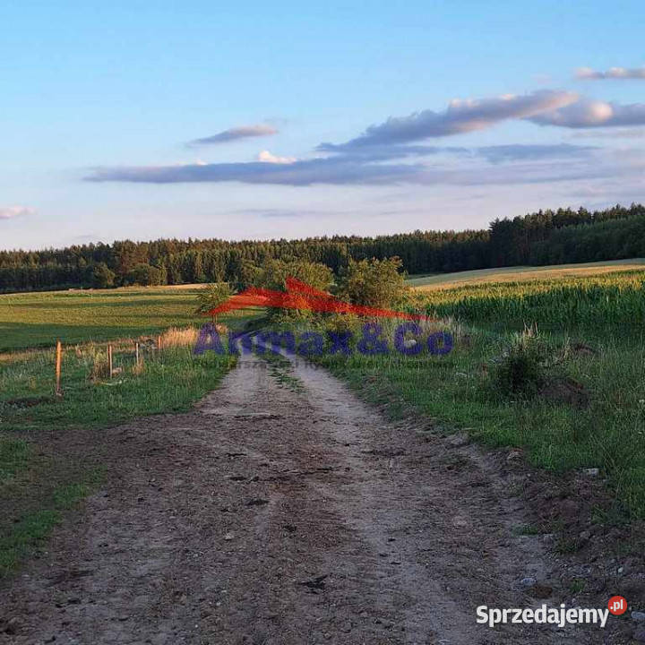 Ogłoszenie działka Strzelniki budowlana