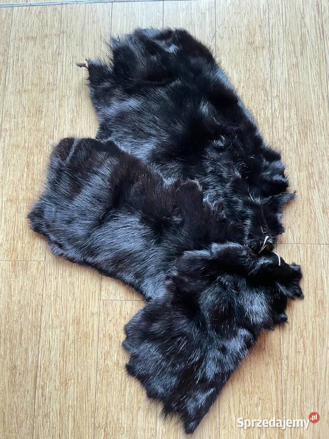 Sprzedam wyprawione skórki z nutrii 35 czarne Zielona Góra