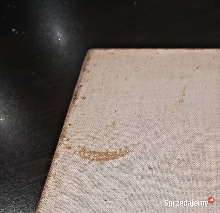 Książka Czerwony śnieg G Hofe Warszawa