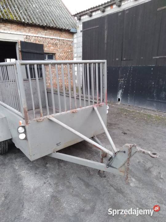 Wózek do przewozu zwierząt kujawsko-pomorskie Radziejów