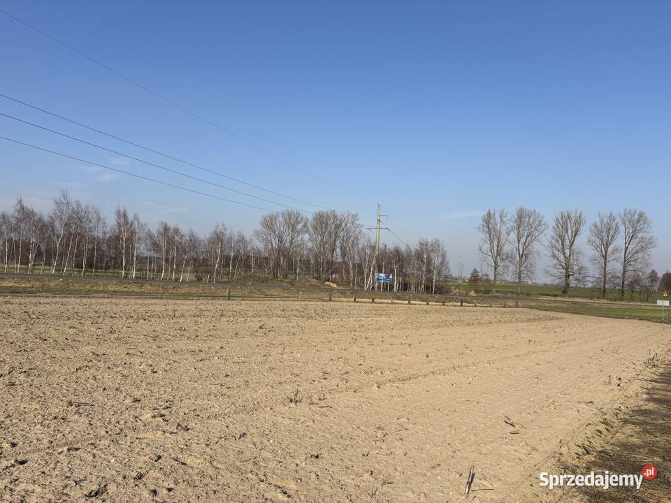 Niezwykła okazja działki w Święciechowie polna Święciechowa