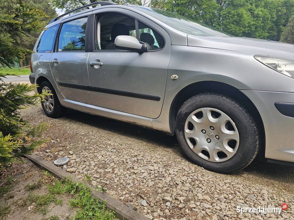 Peugeot 307 16 hdi Chotynin