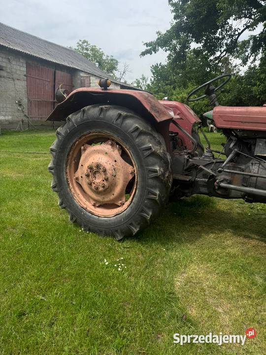 Ciągnik rolniczy Ursus C328 Niedośpielin