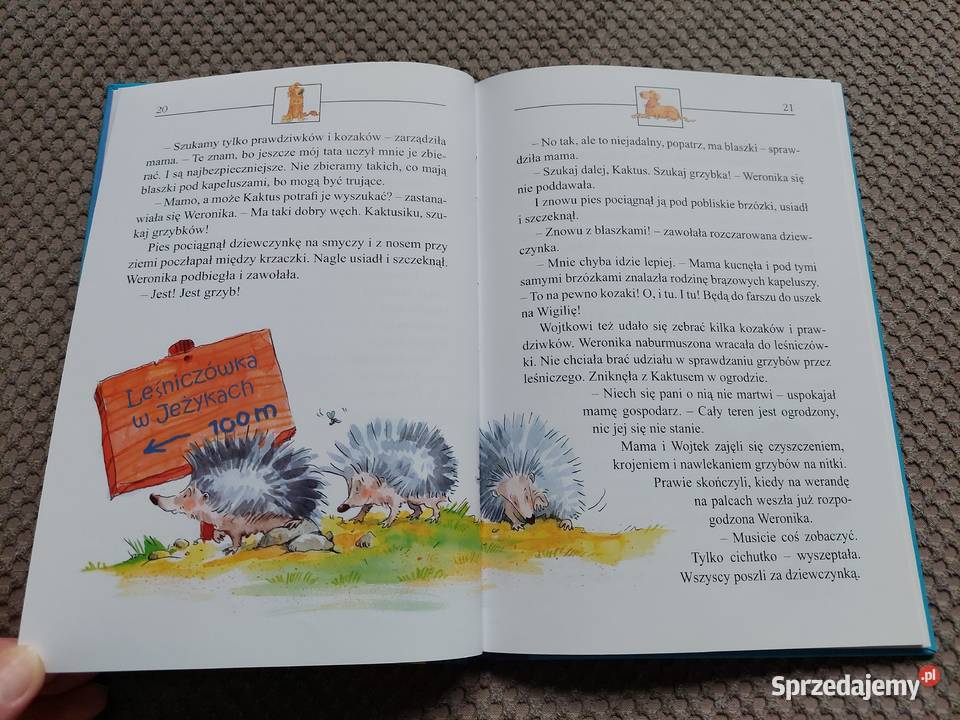 Kaktus wierby przyjaciel Barbara Gawryluk twarda Kultura i Rozrywka