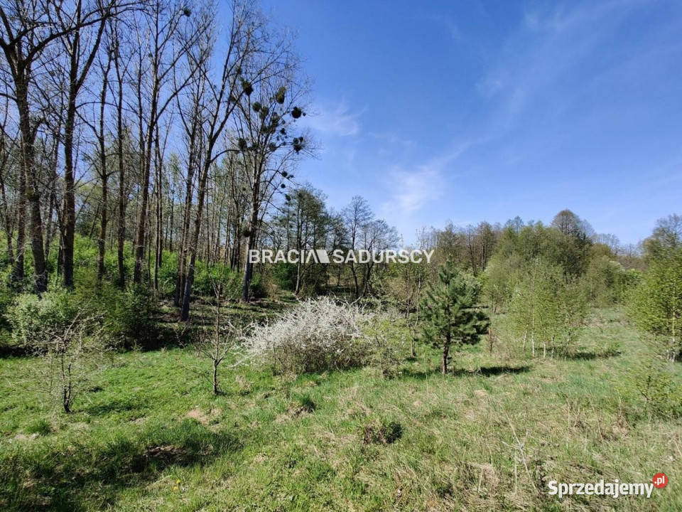 Grunt Łukta 22941m2