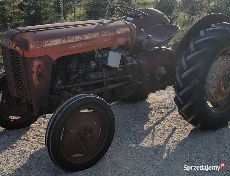 Massey Ferguson 35 kujawsko-pomorskie Kornatowo