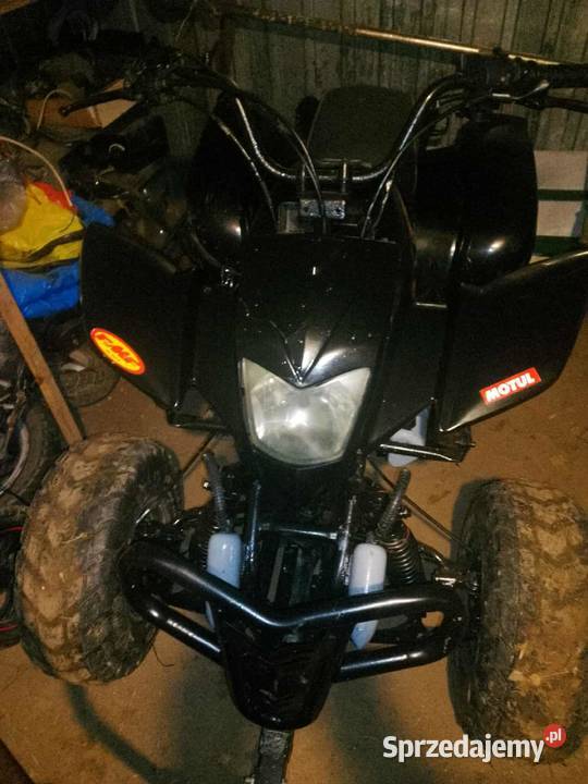 Quad Rok produkcji 2010 Turobin