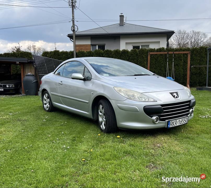 Peugeot 307CC polift ASR (kontrola trakcji) Krościenko Wyżne