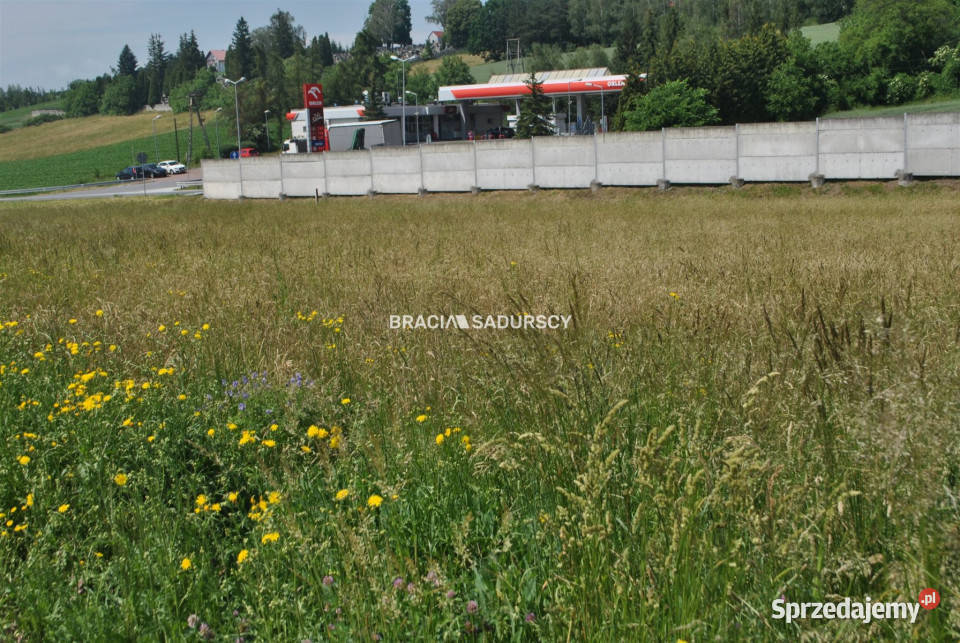 Działka Brzezie 2270 metrów małopolskie