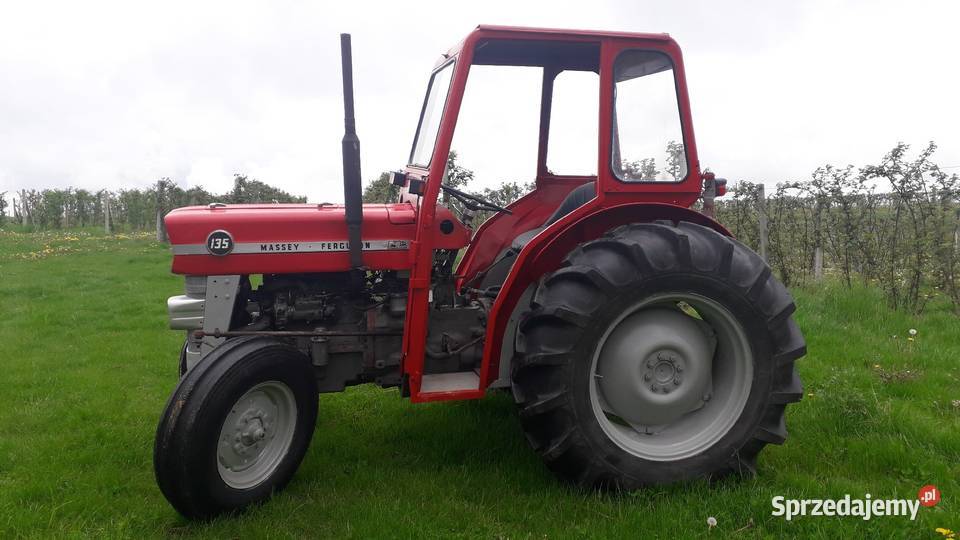Massey Ferguson 135 S stan świętokrzyskie Bogoria sprzedam