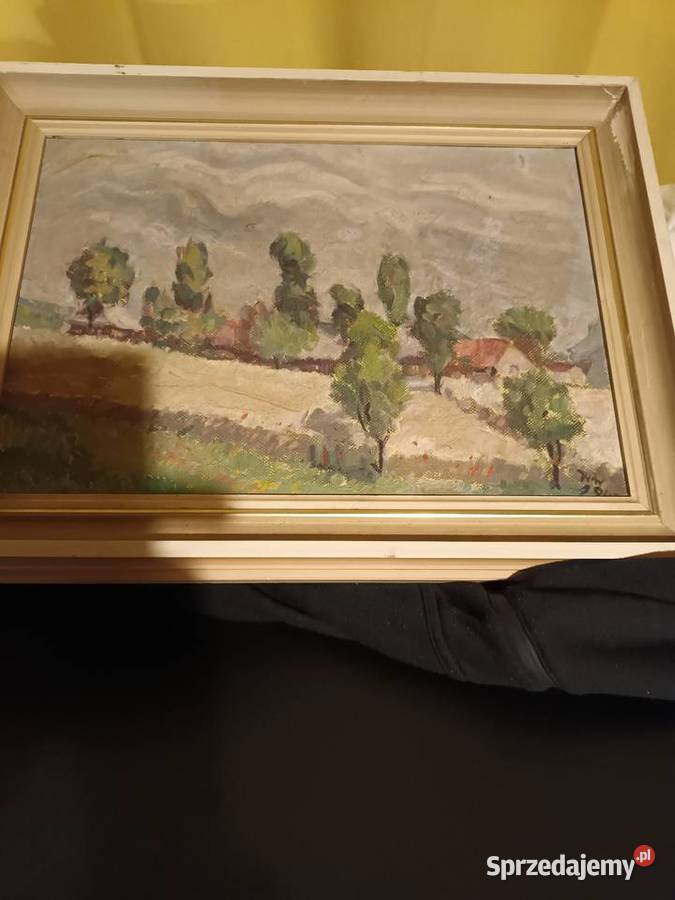 Zabudowy wiejskie wśród drzew w otoczeniu Bielsko-Biała sprzedam