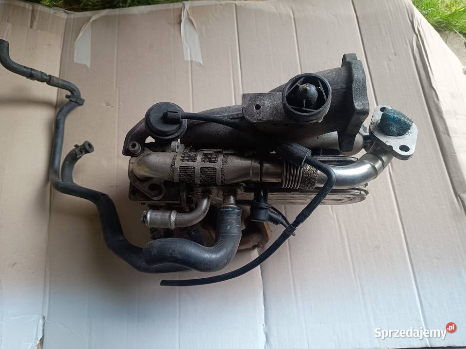 Chłodnica EGR octavia 19 TDI AXR Krzeszowice sprzedam