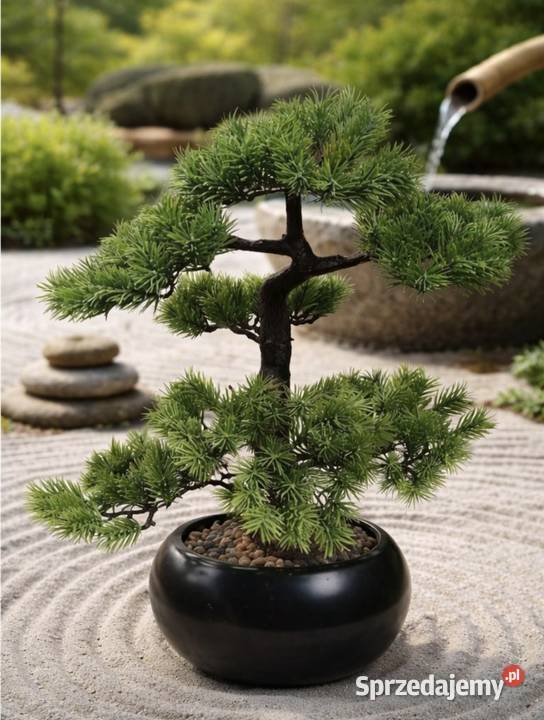 Sztuczny Modrzew Bonsai Larch 60 w ceramicznej łódzkie Pabianice