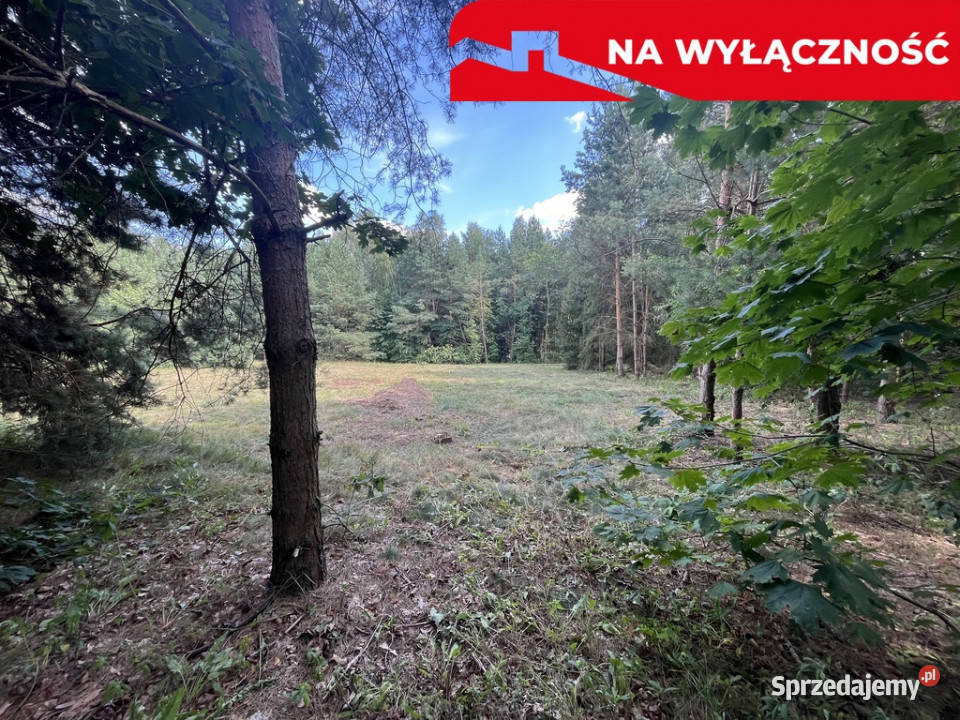 Działka budowla 3117 m2 w Kowali gm Puławy Kowala sprzedam