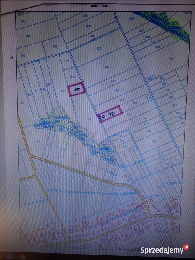 SPRZEDAM DZIAŁKI ROLNE Mikuszewskie