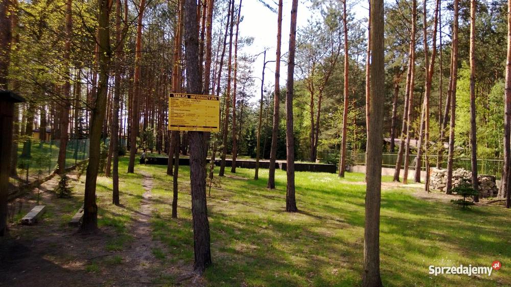 działka wrzosów Grunty i działki