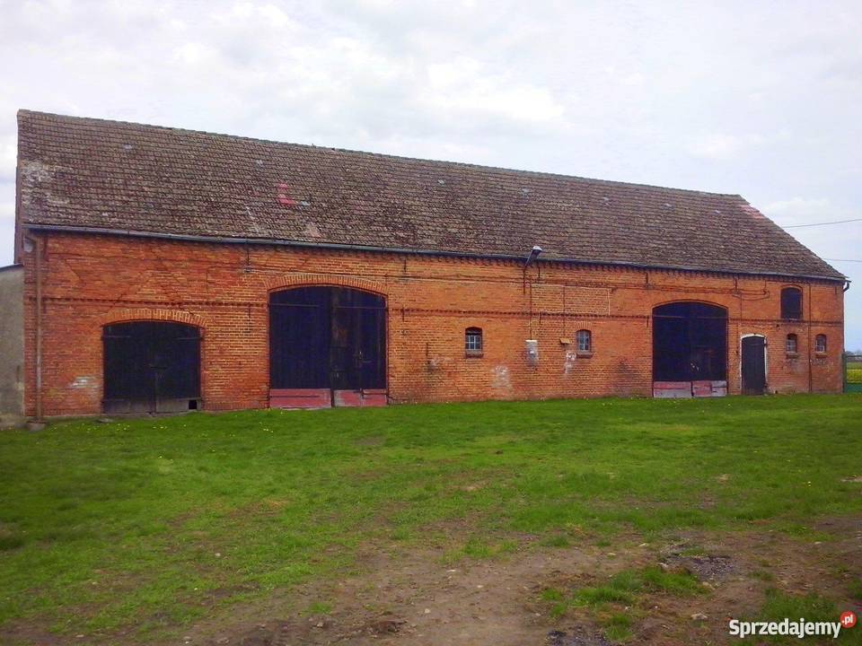 Gospodarstwo rolne w pobliżu wybrzeża Bałtyku Witolub sprzedam