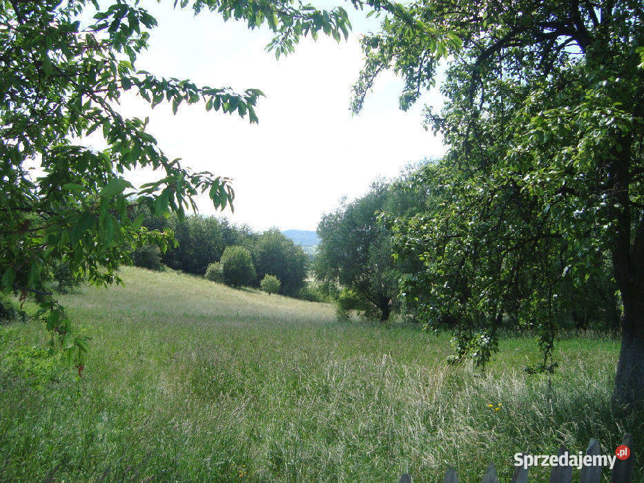 sprzedaży gruntu Dziećmorowice
