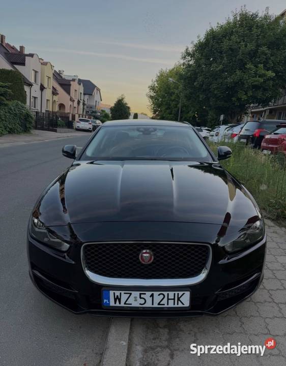 Jaguar XE Płock