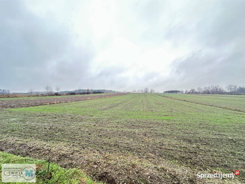 Grunt na sprzedaż Gnojno 5800m2 Sprzedaż sprzedam