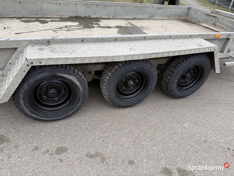 Ifor williams 3500 2016 r Solnica