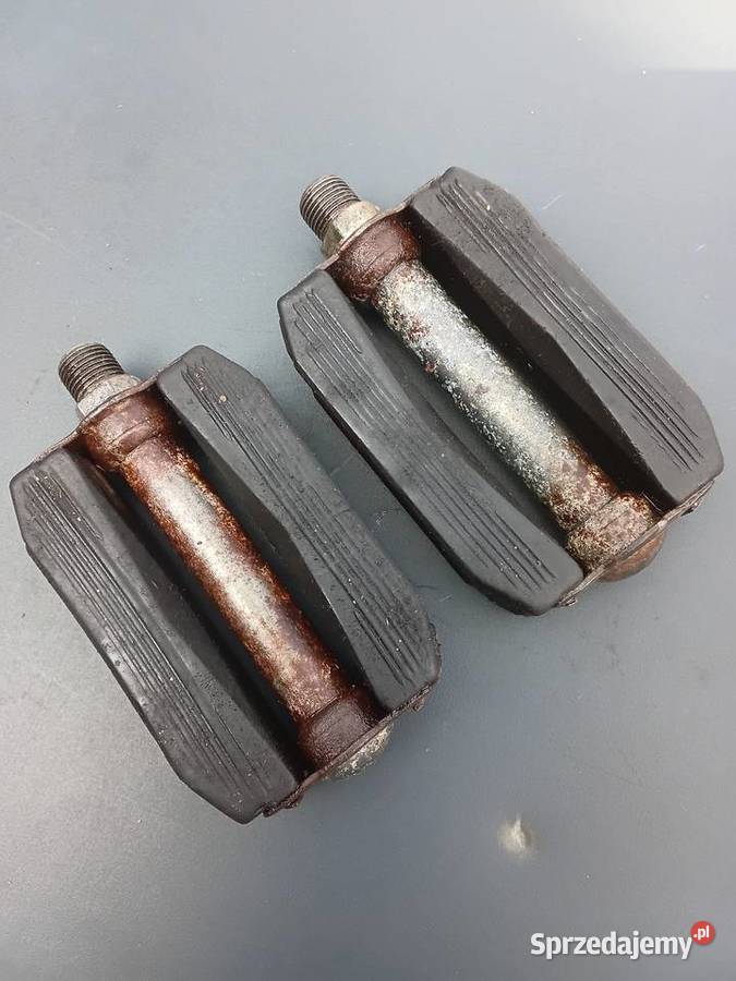 Komar pedała Milejewo