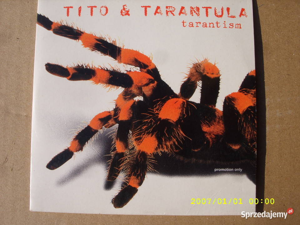 Rock TITO TARANTULATARANTISM COCK ROACH Wołów
