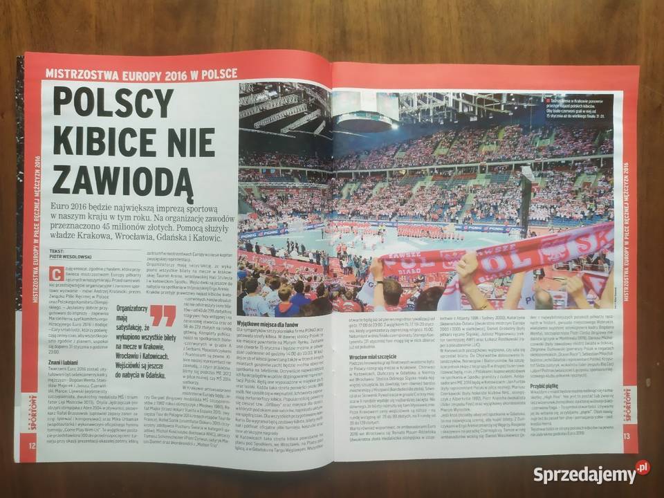 Skarb kibica ME w piłce ręcznej 2016 Łódź