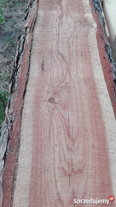 TARCICA MODRZEW Materiały budowlane Krępna sprzedam