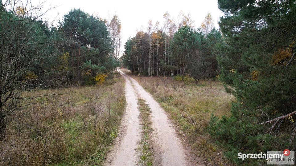 Działkę sprzedam 33800m Kajetanówka 33800m2