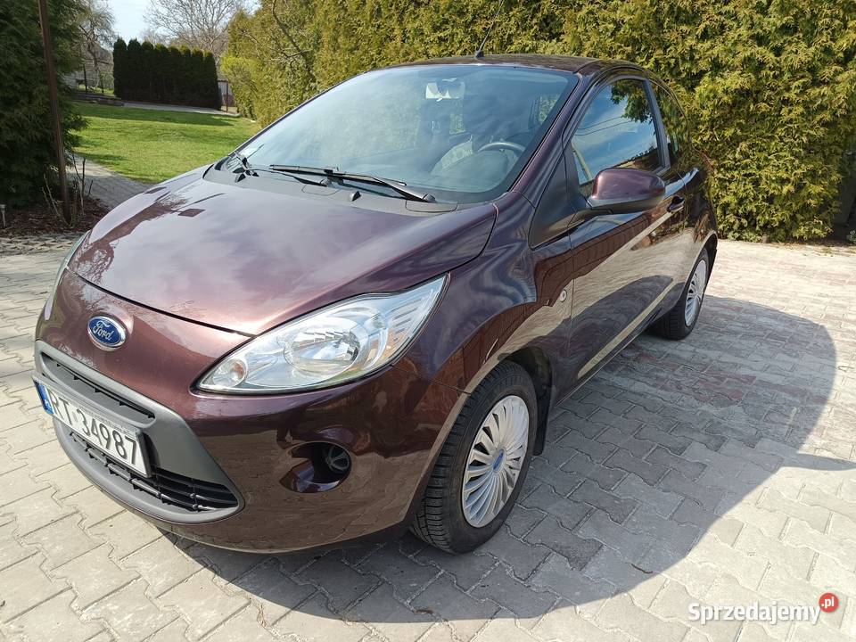 Ford KA 12 Oryginalny lakier mały przebieg benzyna Szydłowiec