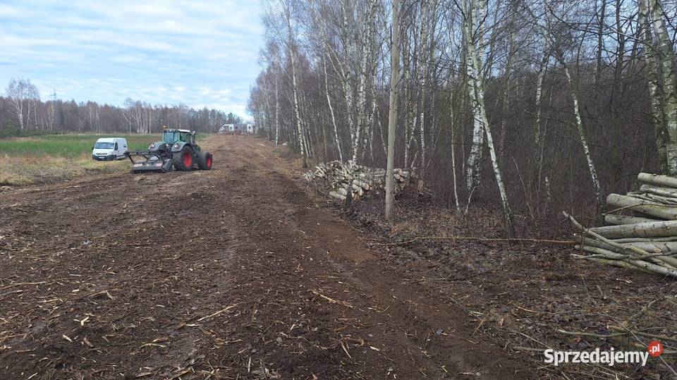 Wycinka drzew materiał Częstochowa