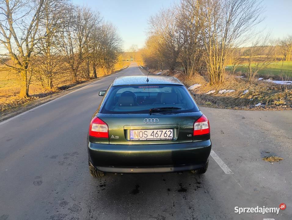 Audi a3 8l 16 2001 warmińsko-mazurskie Szczytno