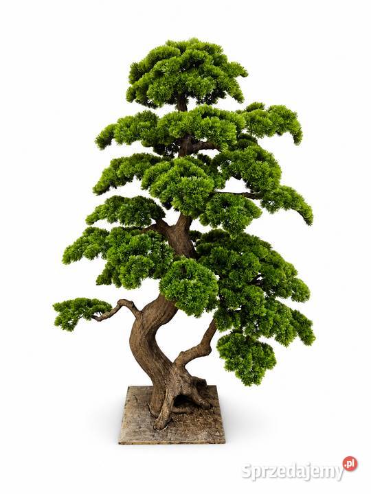 Sztuczne drzewko bonsai 180 x 150 nowoczesna sprzedam