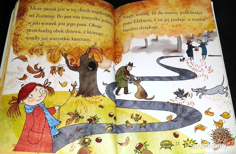 Zuzia i piesek w kratkę Pierwsze czytanki Irena lubelskie Chełm