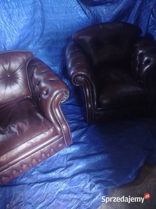 Chesterfield angielski Biała Podlaska
