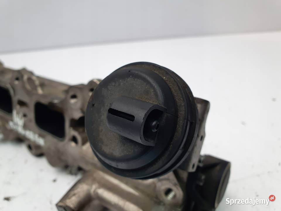 LISTWA WTRYSKOWA VW Golf V 16 FSI GK00266 osobowe lubelskie Chełm