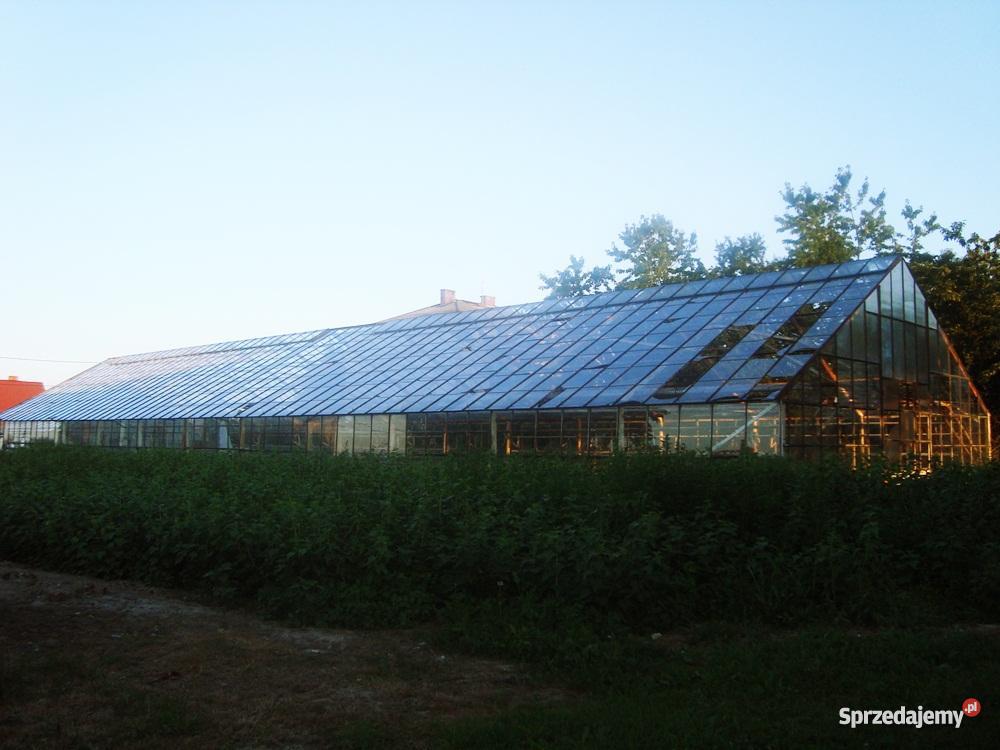szklarnię do rozbiórki Wierzbica-Kolonia sprzedam