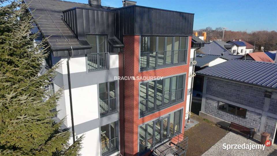 Lokal Kraków Łęg 310m2