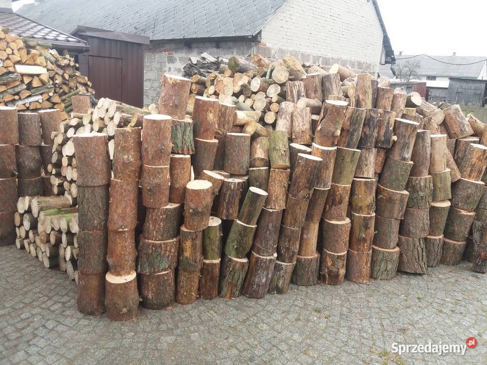 Sosna Drzewo Drewno SUCHE SUCHA Sosnę Opał mazowieckie Łaskarzew