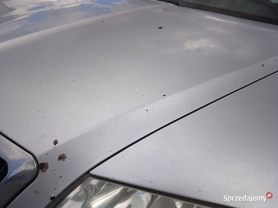 Skoda Octavia II kombi 19 diesel Biłgoraj