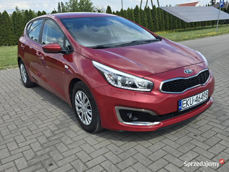Kia Ceed 16crdi Kutno