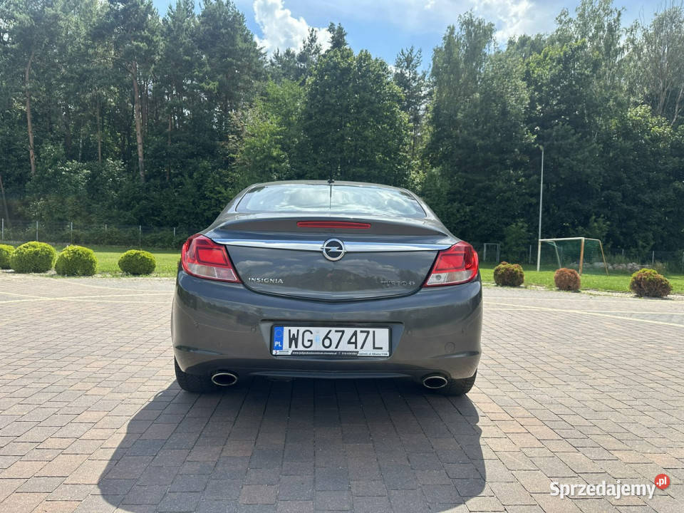 Opel Insignia A 20082017 220KM Lipówki