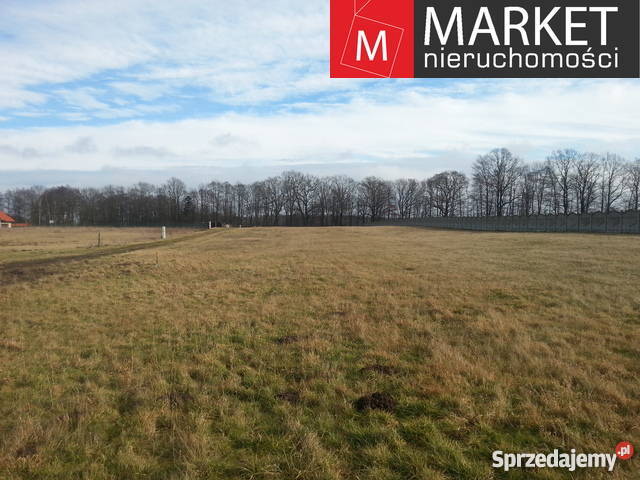 Grunt 2540m2 Zabierzewo rekreacyjna