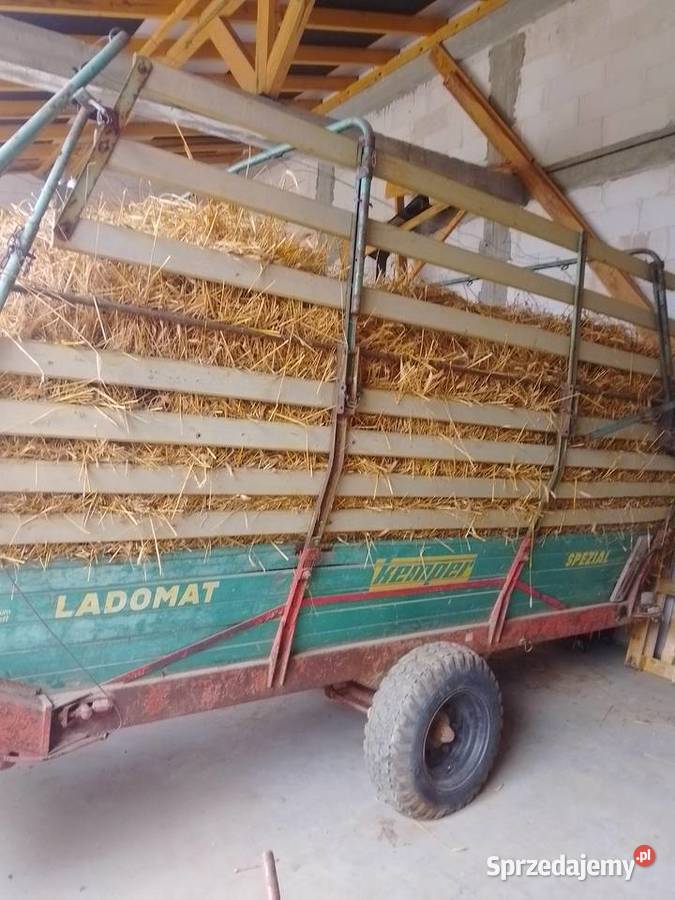 Kemper świętokrzyskie Bieliny